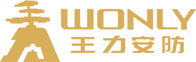 龙8国际,龙8国际头号玩家,long8唯一官方网站登录头号玩家安防科技股份有限公司